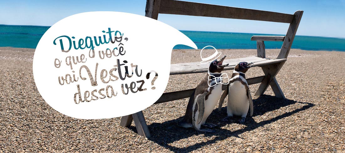 patagonia-e-os-pinguins-em-familia-pinguins