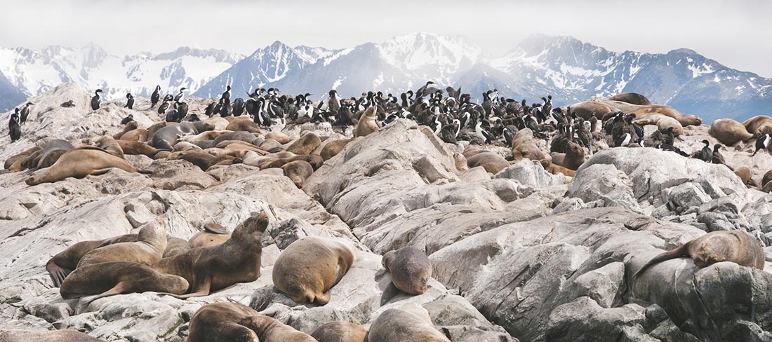 peninsula-valdes-patagonia-argentina