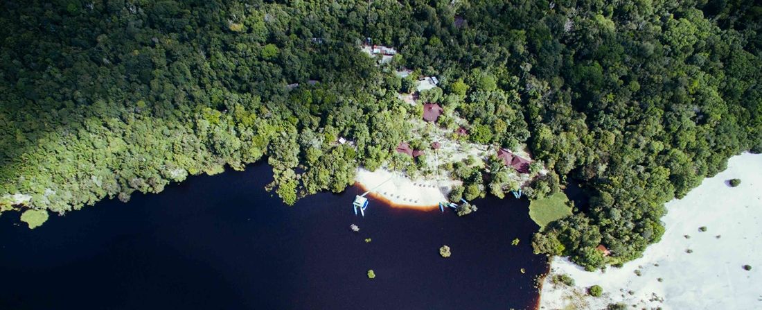 reveillon-amazonia-ecopark