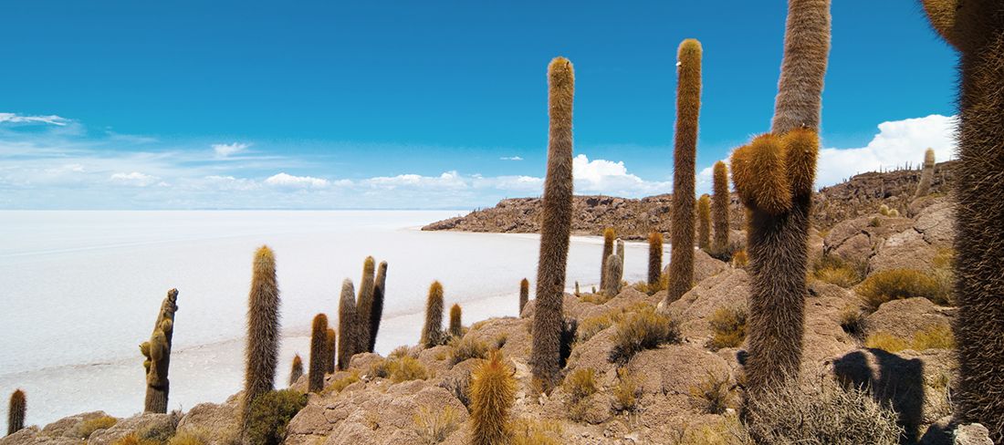 Salar de Uyuni Bolívia