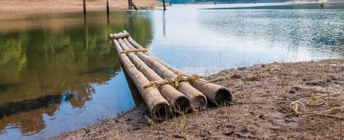 sul da Índia Periyar 1