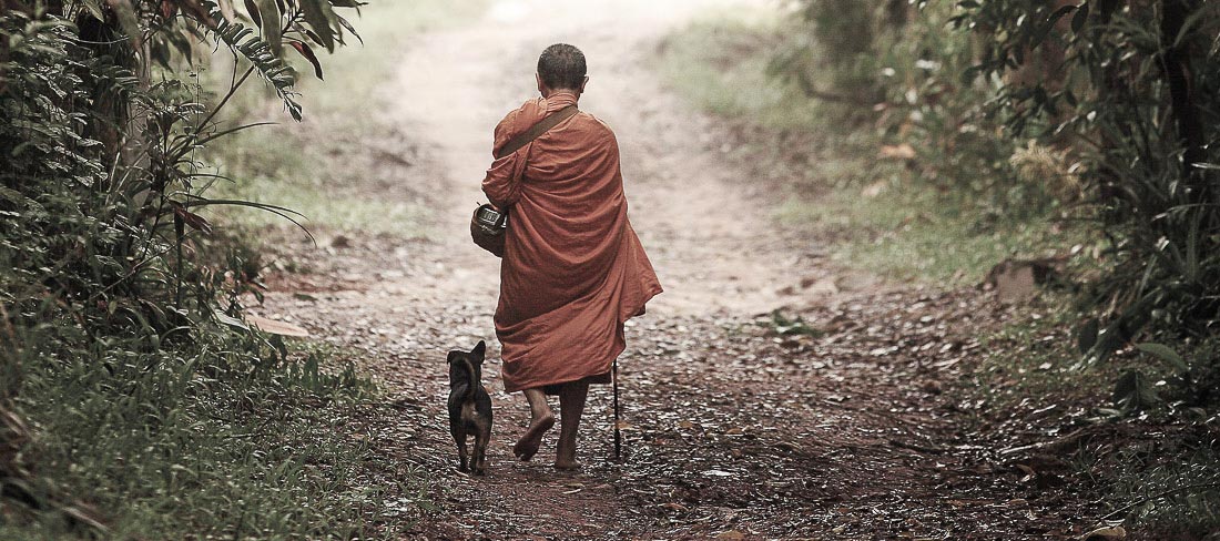 tailandia-monge-andando-tranquilamente-com-cachorro