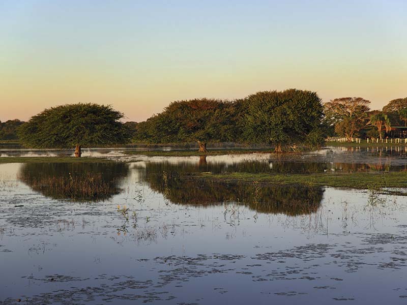 pantanal-brasil