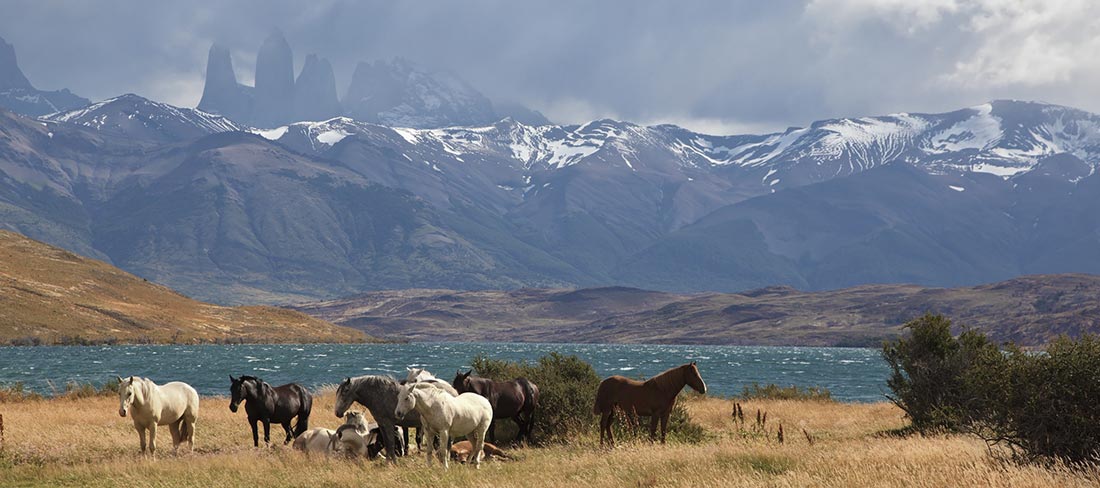 torres-del-paine-chile