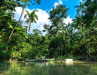 paisagens-amazonicas-juma