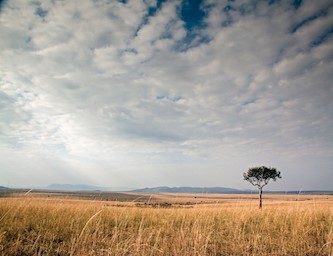 skysafari-tanzania