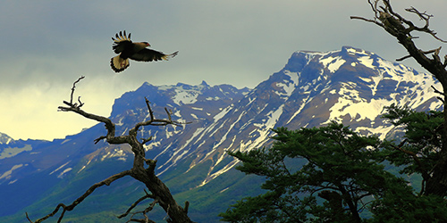 Montar Roteiro – Machu Picchu